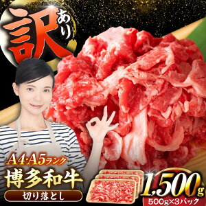 yӂ邳Ɣ[Łzy󂠂zyA4`A5Nza ؂藎Ƃ 1.5kgi500g×3jsLOstyЖؑHizY јa  Ⴊ[VDZ004]