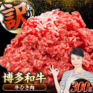 yӂ邳Ɣ[Łzy󂠂z a 100 ~` (ғ) 300g sLOstyЖؑHiz Ђ  no[O[VDZ014]