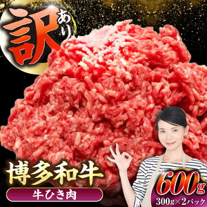 yӂ邳Ɣ[Łzy󂠂z a 100 ~` (ғ) 600gi300g×2j sLOstyЖؑHiz Ђ  no[O[VDZ015]