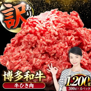 yӂ邳Ɣ[Łzy󂠂z a 100 ~` (ғ) 1.2kgi300g×4j sLOstyЖؑHiz Ђ  no[O[VDZ016]