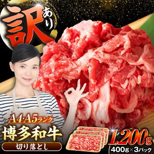 yӂ邳Ɣ[Łzy󂠂zyA4`A5Nza ؂藎Ƃ 1.2kgi400g×3j sLOstyЖؑHiz Y J[ Ⴊ[VDZ022]