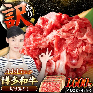 yӂ邳Ɣ[Łzy󂠂zyA4`A5Nza ؂藎Ƃ1.6kgi400g×4j sLOstyЖؑHiz Y J[ Ⴊ[VDZ025]