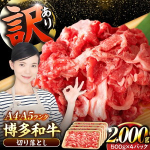 yӂ邳Ɣ[Łzy󂠂zyA4`A5Nza ؂藎Ƃ 2.0kgi500g×4j sLOstyЖؑHiz Y J[ Ⴊ[VDZ030]