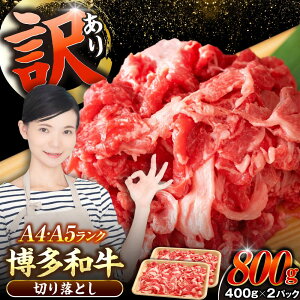 yӂ邳Ɣ[Łzy󂠂zyA4`A5Nza ؂藎Ƃ 800gi400g×2jsLOstyЖؑHiz Y J[ Ⴊ[VDZ039]