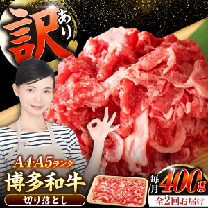 yӂ邳Ɣ[ŁzyS2ցzy󂠂zyA4`A5Nza ؂藎Ƃ 400gsLOstyЖؑHizY јa  Ⴊ[VDZ040]