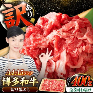 yӂ邳Ɣ[ŁzyS3ցzy󂠂zyA4`A5Nza ؂藎Ƃ 400gsLOstyЖؑHizY јa  Ⴊ[VDZ041]