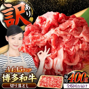 yӂ邳Ɣ[ŁzyS6ցzy󂠂zyA4`A5Nza ؂藎Ƃ 400gsLOstyЖؑHizY јa  Ⴊ[VDZ042]