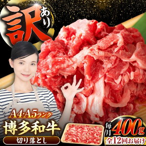 yӂ邳Ɣ[ŁzyS12ցzy󂠂zyA4`A5Nza ؂藎Ƃ 400gsLOstyЖؑHizY јa  Ⴊ[VDZ043]