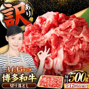yӂ邳Ɣ[ŁzyS12ցzy󂠂zyA4`A5Nza ؂藎Ƃ 500gsLOstyЖؑHizY јa  Ⴊ[VDZ047]
