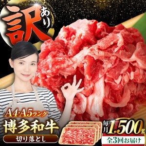 yӂ邳Ɣ[ŁzyS3ցzy󂠂zyA4`A5Nza ؂藎Ƃ 1.5kgi500g×3jsLOstyЖؑHizY јa  Ⴊ[VDZ049]