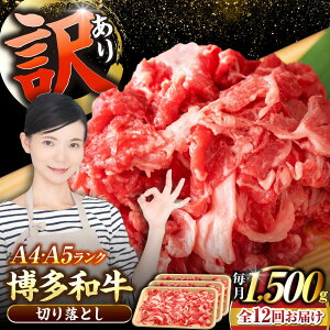 yӂ邳Ɣ[ŁzyS12ցzy󂠂zyA4`A5Nza ؂藎Ƃ 1.5kgi500g×3jsLOstyЖؑHizY јa  Ⴊ[VDZ051]
