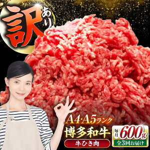 yӂ邳Ɣ[ŁzyS3ցzy󂠂z a 100 ~` (ғ) 600gi300g×2j sLOstyЖؑHiz Ђ  no[O[VDZ093]