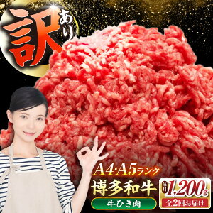 yӂ邳Ɣ[ŁzyS2ցzy󂠂z a 100 ~` (ғ) 1.2kgi300g×4j sLOstyЖؑHiz Ђ  no[O[VDZ096]