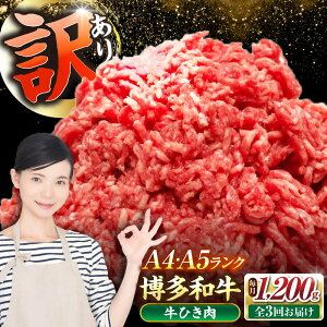 yӂ邳Ɣ[ŁzyS3ցzy󂠂z a 100 ~` (ғ) 1.2kgi300g×4j sLOstyЖؑHiz Ђ  no[O[VDZ097]