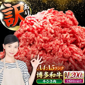 yӂ邳Ɣ[ŁzyS6ցzy󂠂z a 100 ~` (ғ) 1.2kgi300g×4j sLOstyЖؑHiz Ђ  no[O[VDZ098]