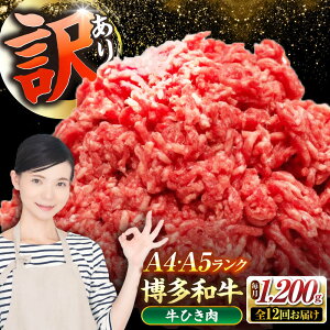 yӂ邳Ɣ[ŁzyS12ցzy󂠂z a 100 ~` (ғ) 1.2kgi300g×4j sLOstyЖؑHiz Ђ  no[O[VDZ099]