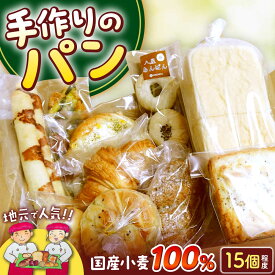【ふるさと納税】 ビッグパン人気商品 詰め合わせ（冷凍便） ≪豊前市≫【ビッグパン】 パン ぱん 小麦 国産[VEA001]