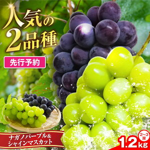 �y�ӂ邳�Ɣ[�Łz�y�L�����y�[���Ώہz�y2026�N8�����{��菇�������z�V�N �i�K�m�p�[�v�����V���C���}�X�J�b�g1.2kg �i2�`3�[�j�s�L�O�s�t �y�g���}�G�t���[�c�z[VEL002] �ʕ� �t���[�c �}�X