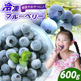 【ふるさと納税】冷凍ブルーベリー 600g 【2026年7月上旬～8月下旬発送】《豊前市》【OH YEAH!農園】[VER002] 先行予約 ブルーベリー 果物 フルーツ ジュース スムージー ヨーグルト 朝食 おやつ 旬 新鮮 産地直送 国産 おすすめ 人気