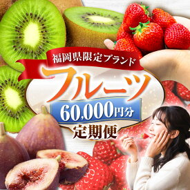 【ふるさと納税】【全4回定期便】フルーツ定期便 6万円コース(あまおう2種＆いちじく＆キウイ) 《豊前市》【豊前市定期便】[VZZ017] 果物 フルーツ おやつ 定期便 あまおう いちご イチゴ 苺 いちじく キウイ 贈り物 ギフト