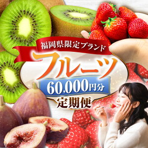 �y�ӂ邳�Ɣ[�Łz�y�S4�����ցz�t���[�c����� 6���~�R�[�X(���܂���2�큕�����������L�E�C) �s�L�O�s�t�y�L�O�s����ցz[VZZ017]