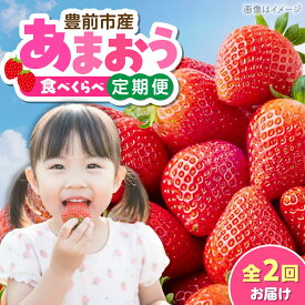 【ふるさと納税】【全2回定期便】あまおう2種食べ比べ返礼品 4万円コース 《豊前市》【豊前市定期便】[VZZ026] 果物 フルーツ おやつ 定期便 あまおう いちご イチゴ 苺 贈り物 ギフト