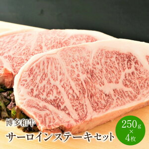 yӂ邳Ɣ[ŁzaT[CXe[LZbg@1kg[250g×4]y014-0032z