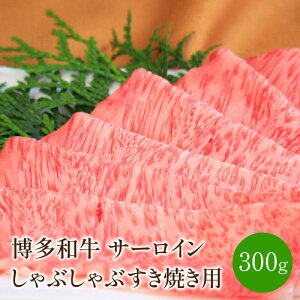 yӂ邳Ɣ[ŁzyIʁzaT[CԂԂĂp@300gy014-0034z