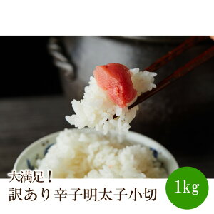 yӂ邳Ɣ[Łz喞I󂠂hqq1kgi100g×10pjy014-0059z