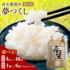 yӂ邳Ɣ[Łz_IׂeʁI^喖_ 4kg 10kg 5kg×6iāj͂ Pꌴ     ٓ ɂ  ӂ邳Ɣ[  10kg 4kg  5kg