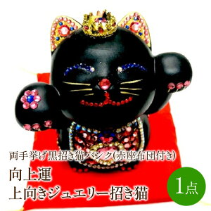 yӂ邳Ɣ[Łz^ WG[L 苓LoN(ԍzct)y003-0035z