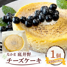 【ふるさと納税】なかま底井野チーズケーキ【055-0002】