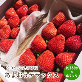 【ふるさと納税】【2026年先行予約】あまおうデラックス(4パック)【044-0060】