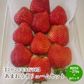 【ふるさと納税】【2026年先行予約】あまおうボリュームセット(6パック)【044-0061】