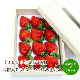 【ふるさと納税】【2026年先行予約】桐箱入りプレミアムEXあまおう【044-0063】