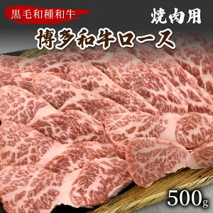 yӂ邳Ɣ[Łzyʌza[Xēp(500g)y009-0011z