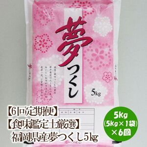 yӂ邳Ɣ[Łzy6ցzyHӒmIzY5kg(5kg×1)y039-0011z