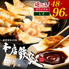 【ふるさと納税】＼選べる内容量&回数！／本店鉄なべ 冷凍ぎょうざ しそ餃子 48個 96個 餃子 ぎょうざ 鉄なべ餃子 鉄鍋 お取り寄せ 中華惣菜 点心 福岡県 冷凍餃子 薄皮餃子 ふるさと納税 惣菜 ふるさと納税 餃子