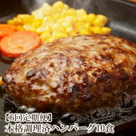 【ふるさと納税】【6回定期便】本格調理済ハンバーグ10食 特製ソース付【001-0200】