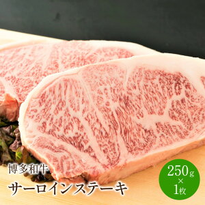 yӂ邳Ɣ[ŁzaT[CXe[L@250g[250g×1]y014-0029z