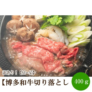yӂ邳Ɣ[Łz󂠂IyA4`A5za؂藎Ƃ400gy014-0040z