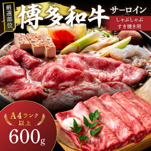 yӂ邳Ɣ[ŁzyIʁzyA4`A5zaT[CԂԂĂp600gi300g×2pjy014-0045z   Ă Ԃ a T[C XCX  Y a