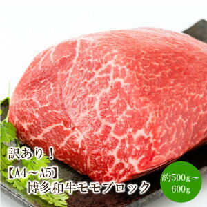 yӂ邳Ɣ[Łz󂠂IyA4`A5zaubNi[Xgr[tpj500g`600gy014-0048z