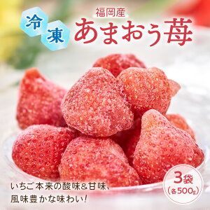 yӂ邳Ɣ[Łz{̎_&ÖALȖ킢!Y܂(Ⓚ)500g×3 C`S  t[c Ⓚ  ӂ邳Ɣ[  ܂ Ԏs y011-0039z