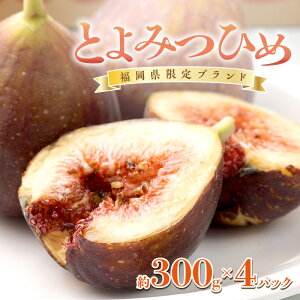 yӂ邳Ɣ[Łz!uhuƂ݂Ђ߁v300g×4pbN  ԉ Ƃ݂Ђ { ʕ t[c  Ԏs Ԍ   XC[c P[L ^
