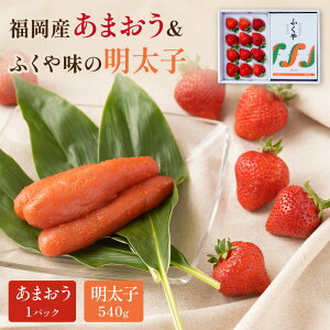 yӂ邳Ɣ[ŁzY܂Mtgӂ□̖q540gy011-0080z