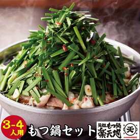 【ふるさと納税】元祖もつ鍋楽天地2〜3人用大容量国産牛モツ300g【012-0001】