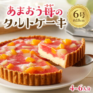 yӂ邳Ɣ[Łz܂䕂̃^gP[L 6(18cm)4`6l fU[g P[L ^g  َq ܂     t[c JX^[h Ⓚ  q ǂ yY ӂ