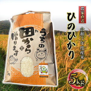 yӂ邳Ɣ[Łz 5kg ߘa7NxY Ђ̂Ђ }㏬SY _ƒ  R