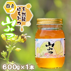 yӂ邳Ɣ[Łz݂͂ Y VR ݂͂ ܂݂ 600g n`~c I